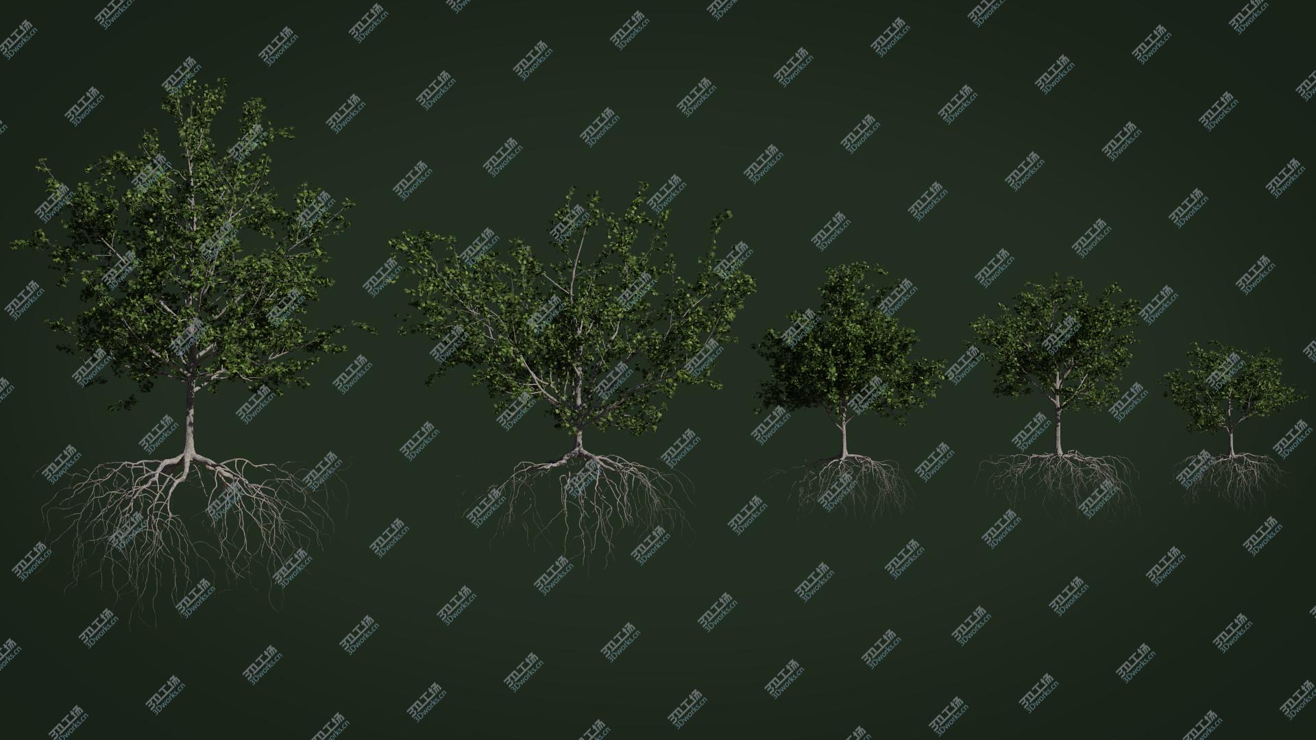 images/goods_img/202104092/Maple Summer Collection 3D/2.jpg